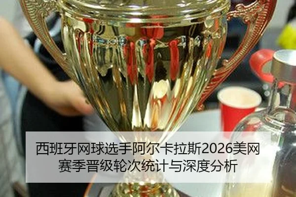 xi-ban-ya-wang-qiu-xuan-shou-a-er-ka-la-si-mei-wang-sai-ji-jin-ji-lun-ci-tong-ji-yu-shen-du-fen-xi-2-145.jpg